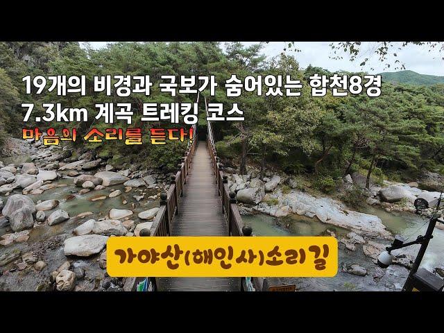 19개의 비경과 국보가 숨어있는  7.3km 트레킹 | 가야산(해인사)소리길 | 합천8경중 2경