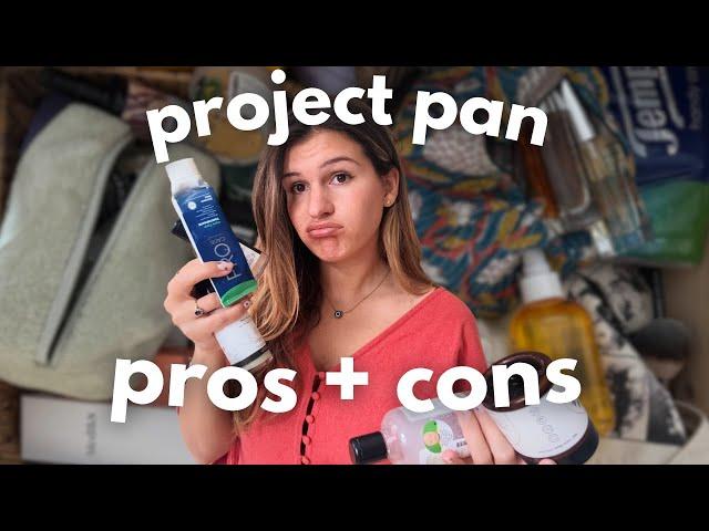 the pros and cons of project pan  (3 months in!)