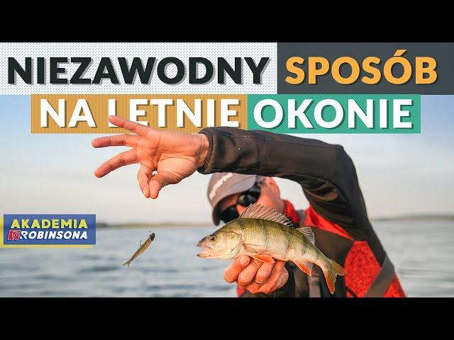 Skuteczny sposób na letnie okonie - musisz spróbować! Łowienie na jaskółkę! #AKADEMIAROBINSONA 81