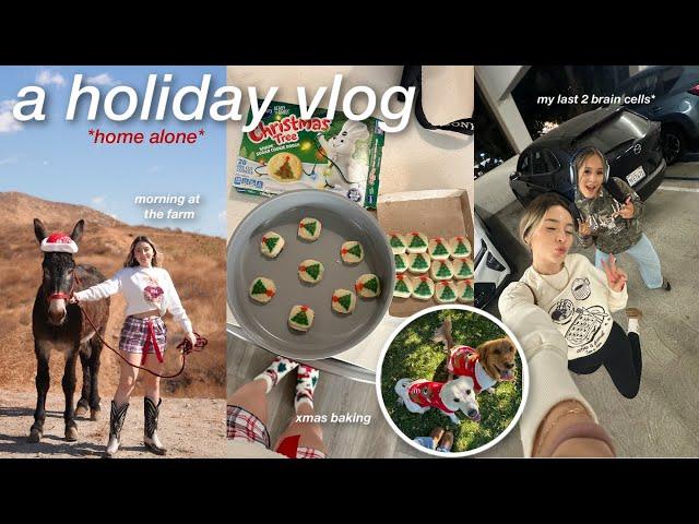 a holiday day in my life *living alone*  | feeding the donkeys, movies night, xmas nails