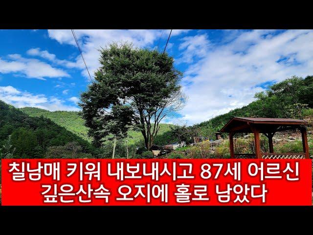 해발700 산꼭대기 두메산골 에 홀로 살고 계시는 할머니 외로워서 어떻게 사실까요