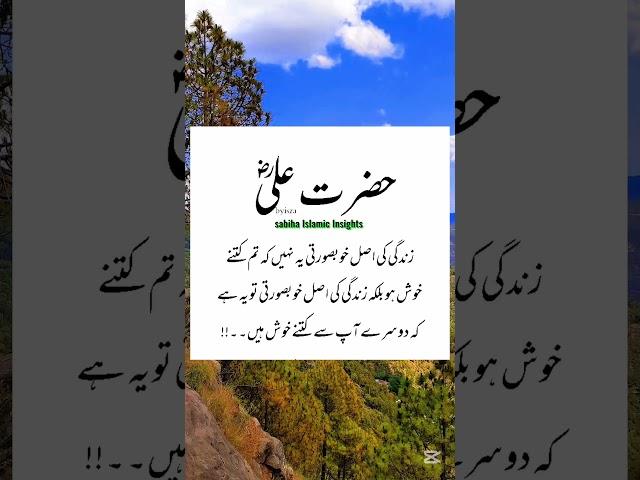 Zindagi ki asal khubsurti | hazrat Ali quotes | Urdu Islamic quotes |Islamic shorts | viral video