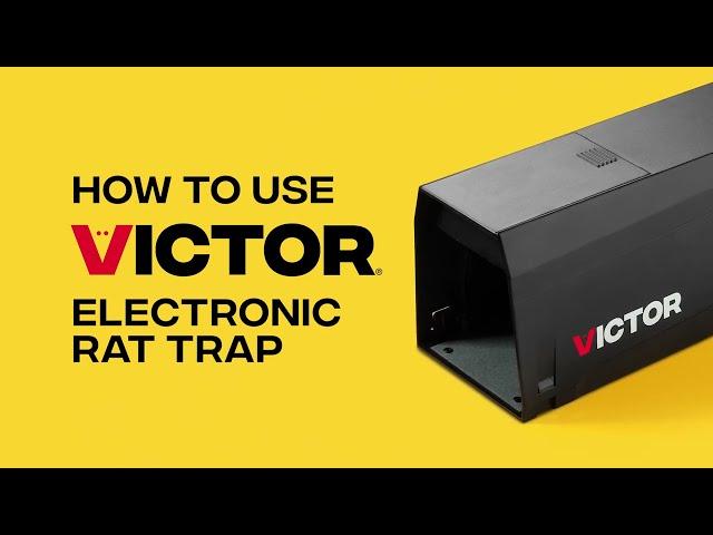 How to Use the Victor Electronic Rat Trap | M241B