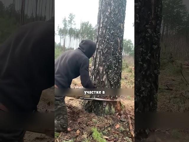 ПОСТРОИЛ ДОМ С ПОМОЩЬЮ БЕНЗОПИЛЫ