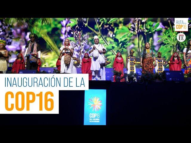 Así se vivió la inauguración de la COP16 | El Espectador