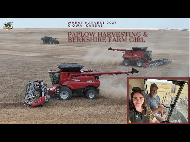 KIOWA KANSAS WHEAT HARVEST 2025 | PAPLOW HARVESTING & BERKSHIRE FARM GIRL