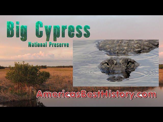 Minute Walk in History - Big Cypress National Preserve