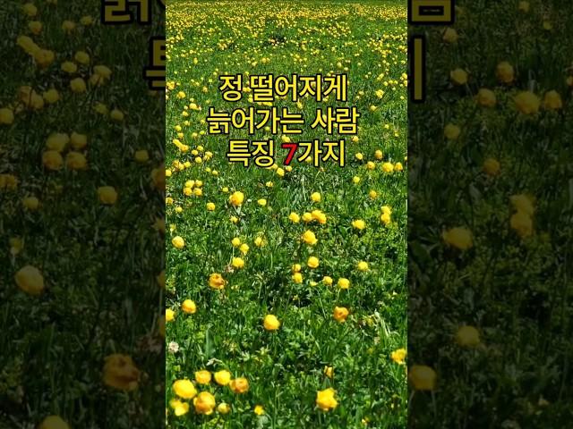 정 떨어지게 늙어가는 사람 특징 7가지  #명언 #좋은글 #지혜