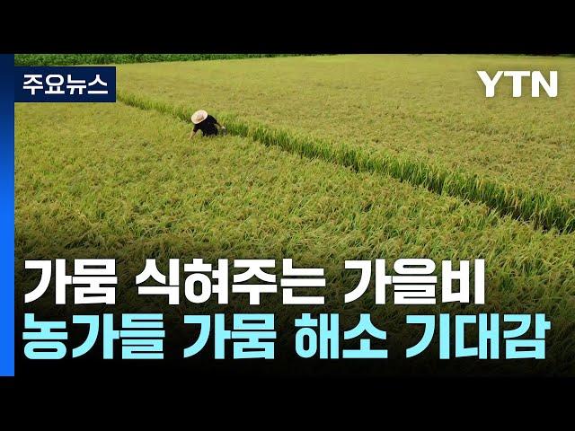 "반갑다 가을비"...무더위·가뭄 식혀준 '단비' / YTN