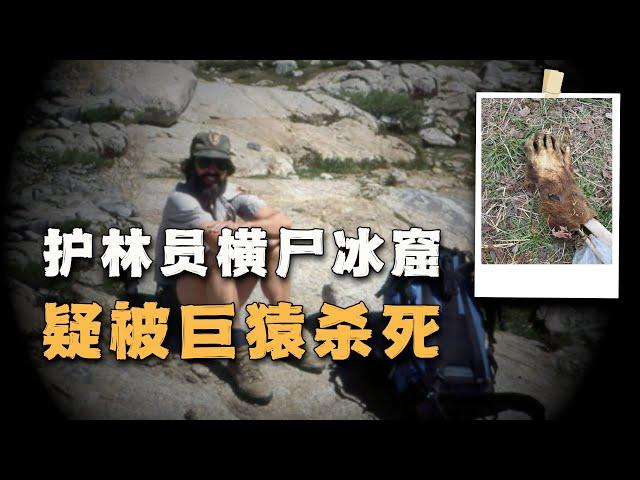 一颗臼齿和两段神秘录音，让人猜测他被巨猿杀死，护林员遗体在冰窟中被找到