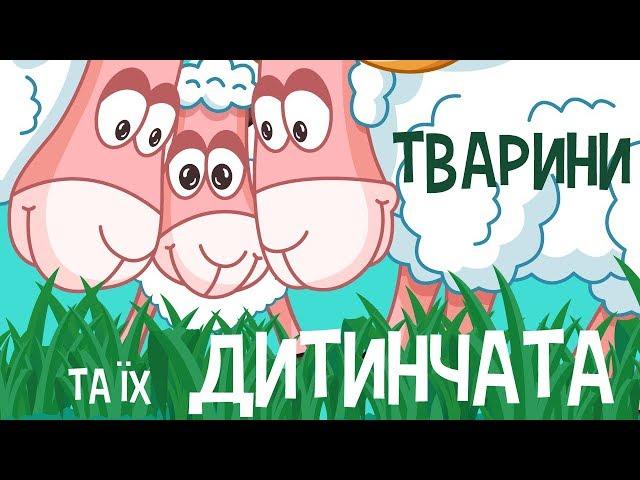 ТВАРИНИ та їх ДИТИНЧАТА || Тварин для дітей - мультфільми українською мовою. З любов`ю!