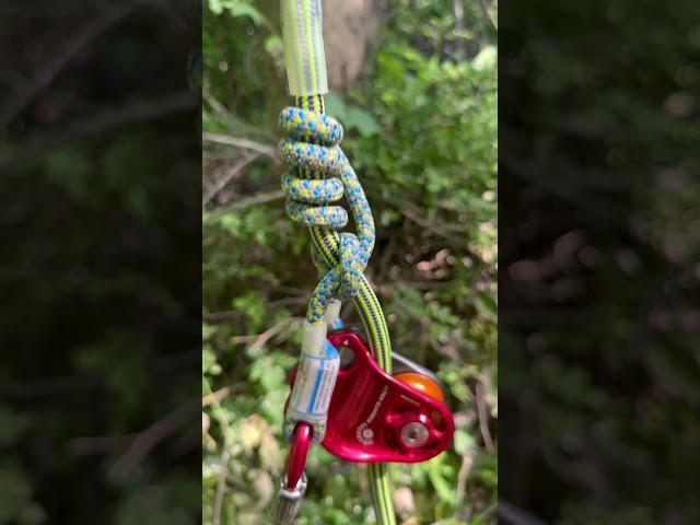 Ever use a traversing hook?  #treelife #treeworker #arborist