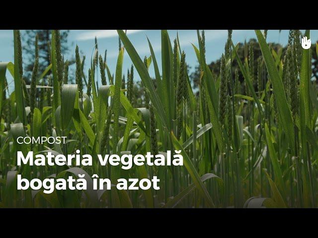 Materia vegetală bogată în azot