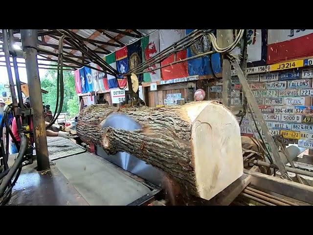 sawing the first oak log with our new sawblade # 461