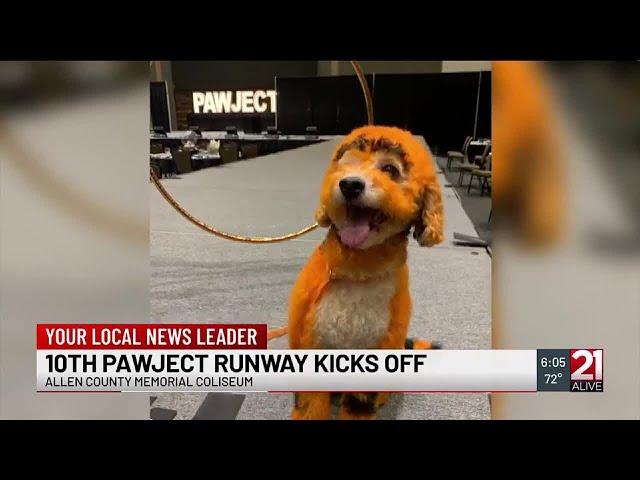 Humane Fort Wayne to hold 10th annual ‘Pawject Runway’ fundraiser Saturday