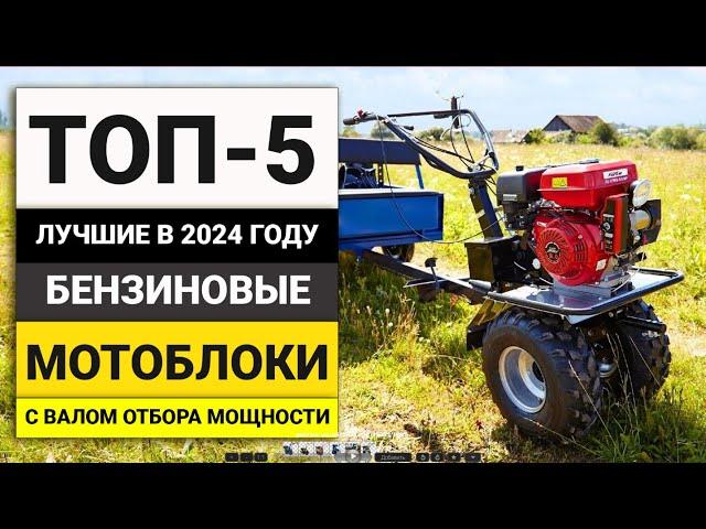 Лучшие бензиновые мотоблоки | ТОП-5 моделей среднего класса в 2024 году