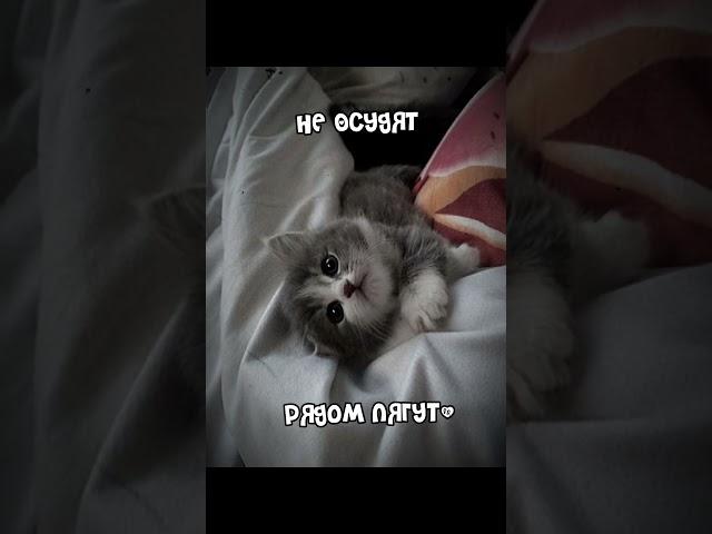 Го актив?) ️ #рек #рекомендации #реки #роблокс