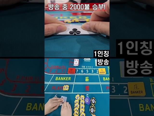 캄보디아 카지노 실시간 방송 중 2000불 승부!