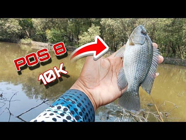 Mancing Bareng Subscriber di POS 8 Surabaya Timur Saweran 10k