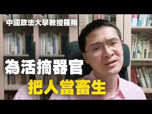 中國政法大學教授羅翔：為活摘器官 把人當畜生| #大紀元新聞網