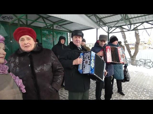 Новости из сквера гармонистов г Орла 12 02 23