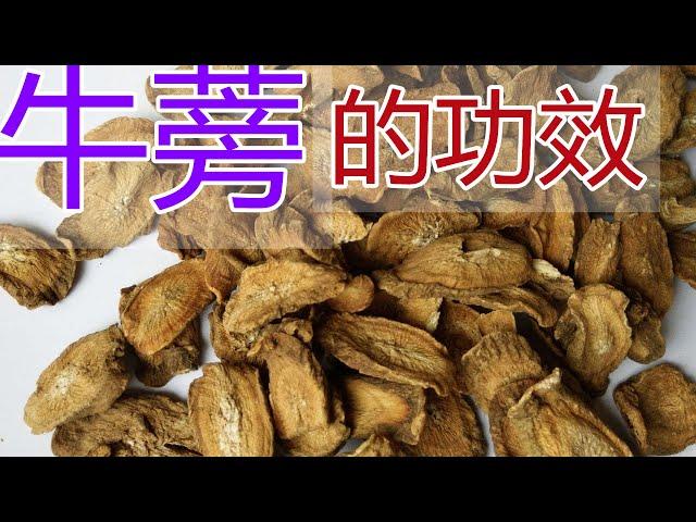 牛蒡的功效和作用，牛蒡食疗方法,牛蒡食用禁忌