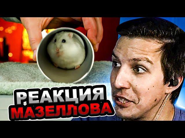 МАЗЕЛЛОВ СМОТРИТ SlivkiShow - ВОТ ЧТО МЫ КУПИЛИ НА ALIEXPRESS | РЕАКЦИЯ МАЗЕЛОВА СЛИВКИ ШОУ
