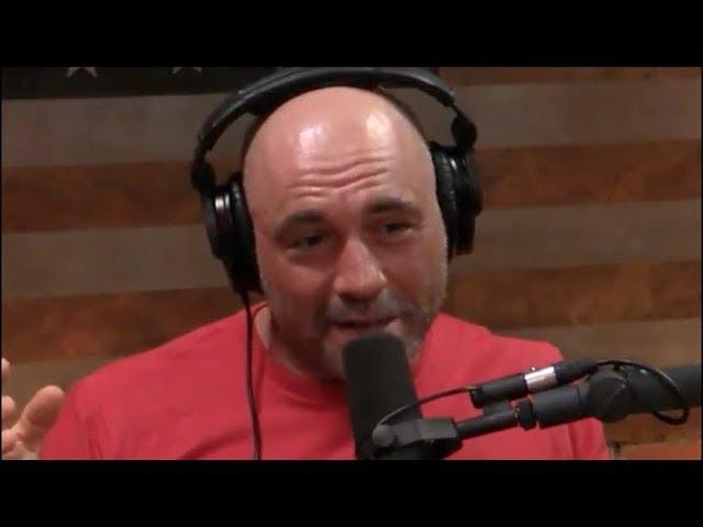 Joe Rogan on the Intellectual Dark Web