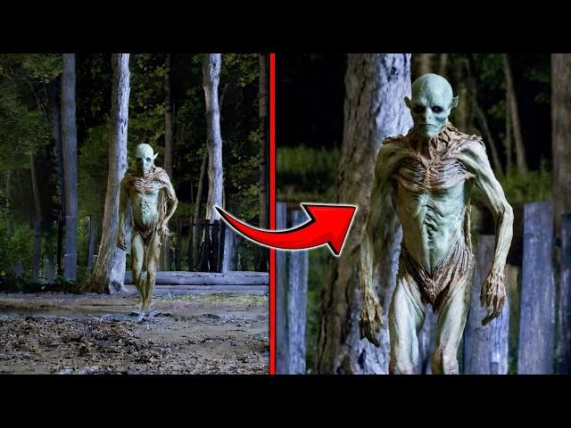 30 Creepiest Creatures Found In The Woods