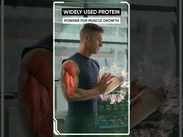 Best Protein Powder for Muscle Growth