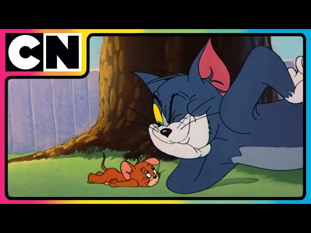Tom and Jerry | Tom & Jerry’s Stay-At-Home Madness!  | Cat and the Mouse Cartoon | @cnindia