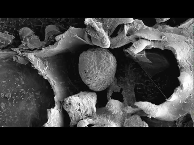 Modern Materials Interview with Research Scientist