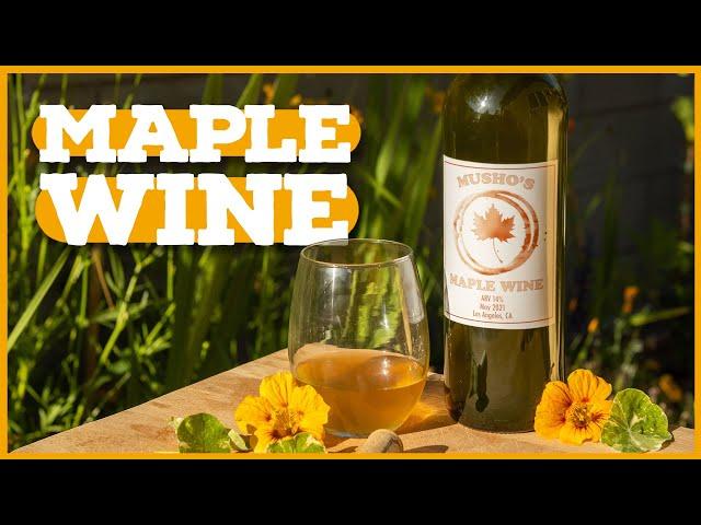 Fermenting Maple Syrup?!? Maple Wine Recipe 