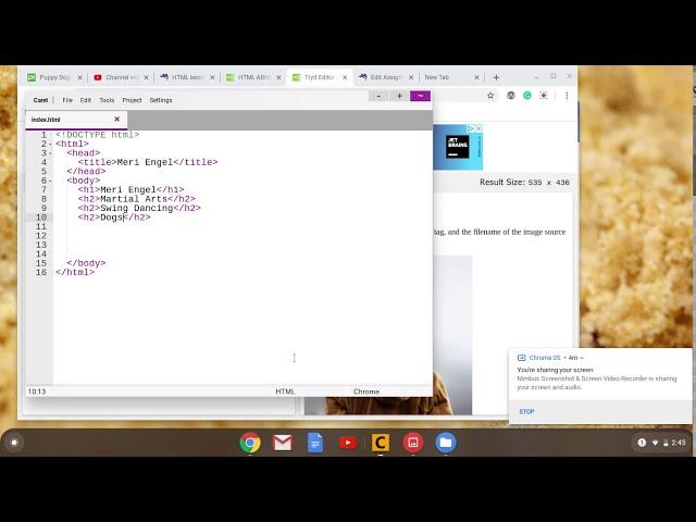 Coding your first web page