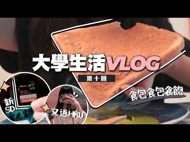 大學生活vlog／社科人sem break時要做甚麼事？