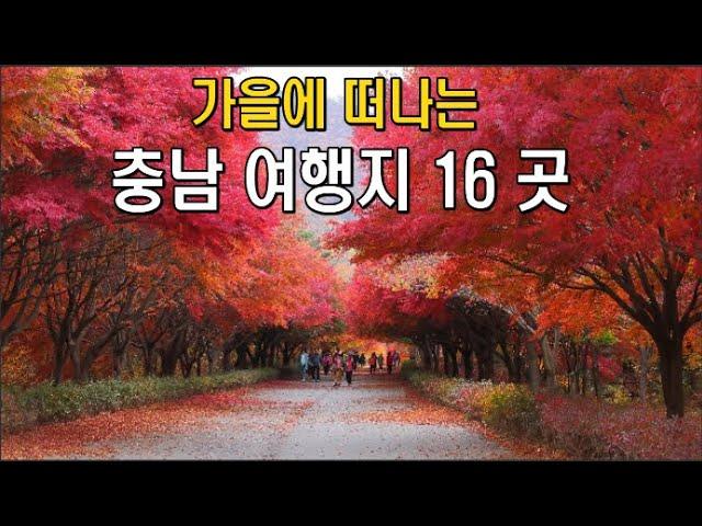 Top 16 Beautiful Korean Chungnam Autumn Foliage Attractions/