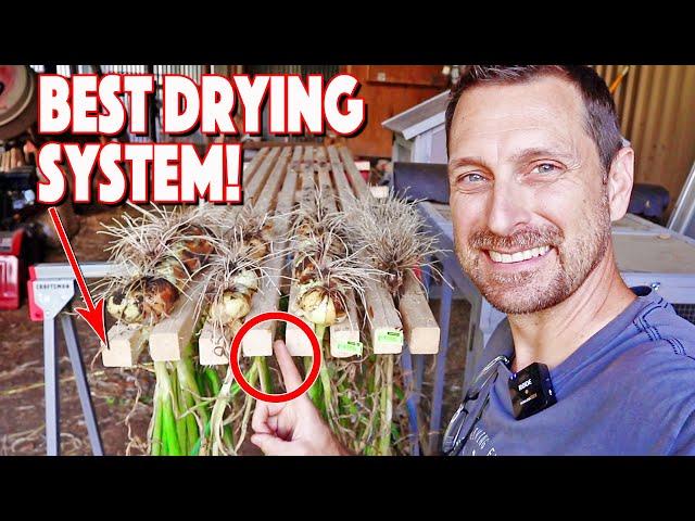 You MUST Do This! Improved Superior Onion Drying Rack Build!