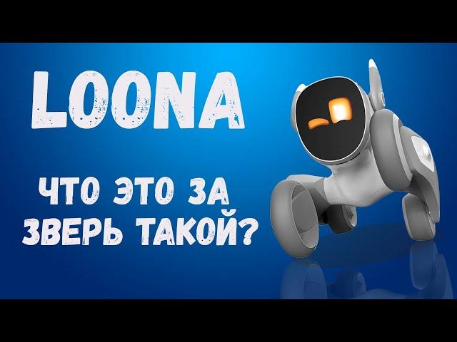 Слово пацана! Первый русский обзор робота loona!