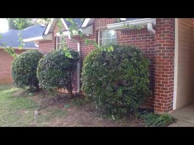 "Alpharetta Rental Houses" 3BR/2BA by "Alpharetta Property Management"