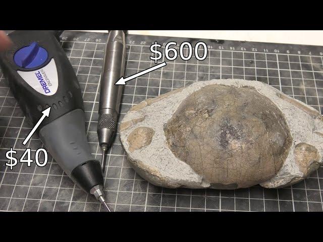 How to prep a fossil crab [entry level scribe compared]