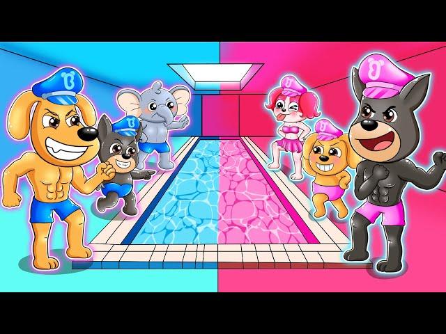 Pink vs Blue Team Swim Race Challenge at the Swimming Pool | Sad Story | Sheriff Labrador Police