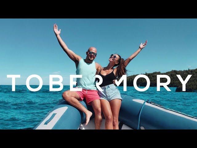 Tobermory BOAT Tour | The Grotto, Flowerpot Island, Shipwrecks