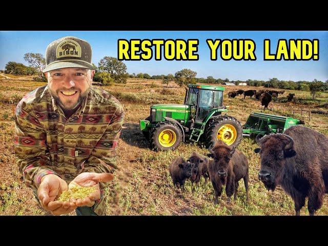 How To Save Your Land Using Cover Crops! | Better For Bison