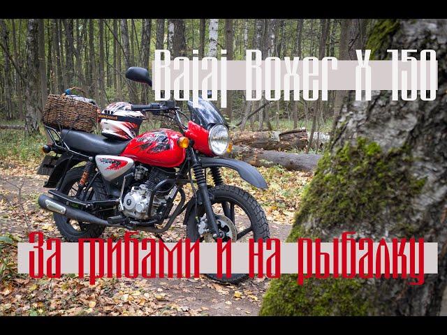 Боевой мотоцикл рыболова и грибника. Bajaj Boxer X150 - топовая бюджетность. Нераритетов обзор