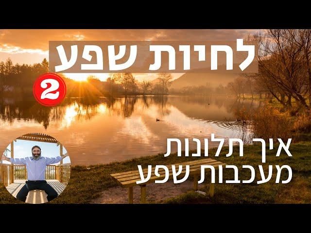 לחיות שפע 2: איך תלונות מעכבות שפע