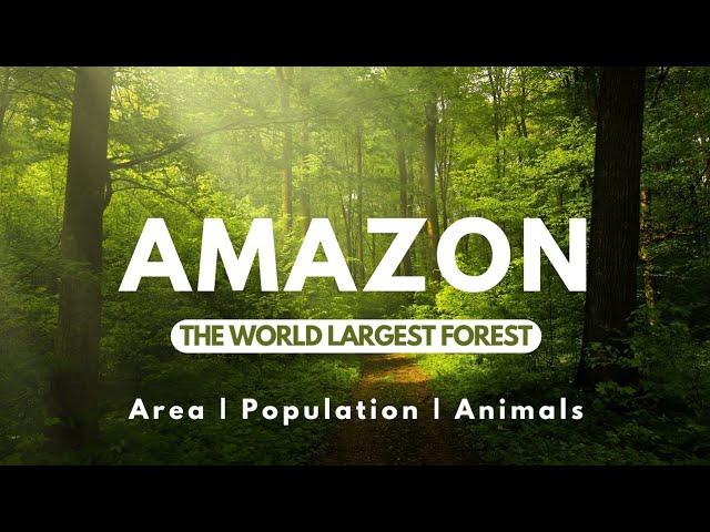 Amazon Forest _The Worlds Largest forest (Area, Population, Animals EXPLAINED) | Informative World |