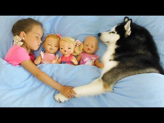 My super fun day with Baby Dolls and Dog, Sofia pretend play with Favorite Toys, Dolls