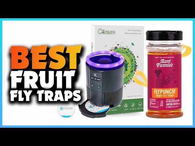 Top 5 Best Fruit Fly Traps | Extreme Reviewer