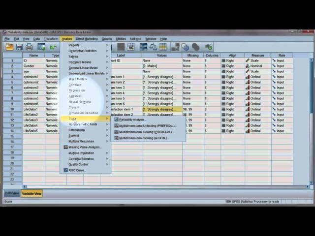 Reliability test: Compute Cronbach's alpha using SPSS