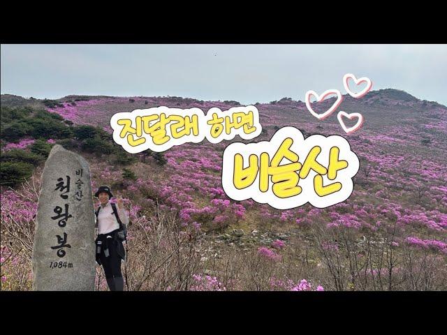 [산-42] 대구 비슬산_진달래